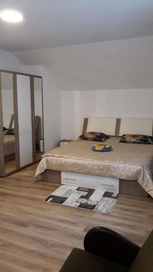 Casa Mariana - Comuna Arefu, Transfagarasan Căpăţîneni-Ungureni Extérieur photo