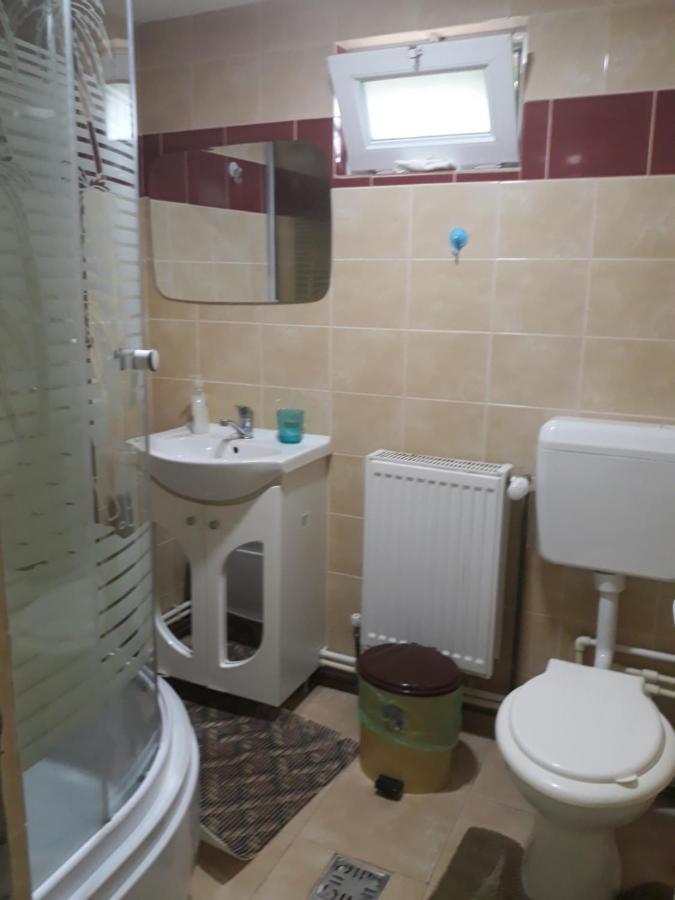 Casa Mariana - Comuna Arefu, Transfagarasan Căpăţîneni-Ungureni Extérieur photo