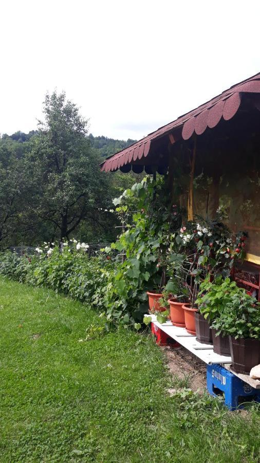Casa Mariana - Comuna Arefu, Transfagarasan Căpăţîneni-Ungureni Extérieur photo